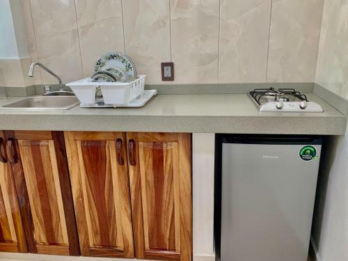 Apartamento Lidxi Rosae