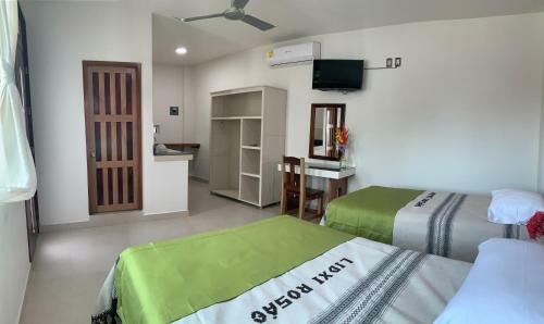 Apartamento Lidxi Rosae