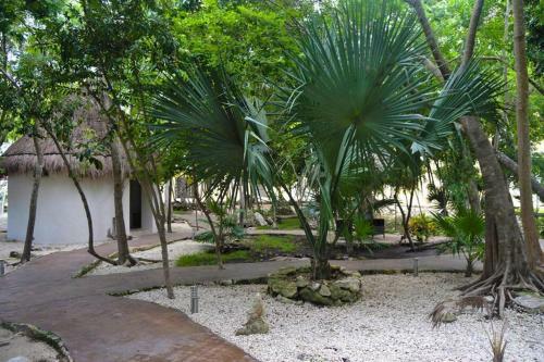 Casa Marin Palma Real Puerto Morelos