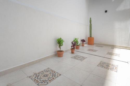 Apartamento Juub @ The Center Oaxaca (R2)