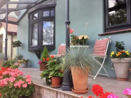 Bed & Breakfast Weston Cottage