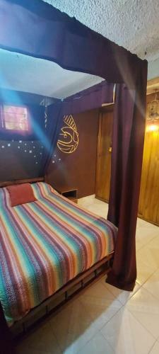 Hostal Lipi House Hostel