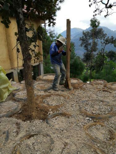 Renta de Caba�as, Centro Ecoturistico Rural Sustentable Labor San Jos�
