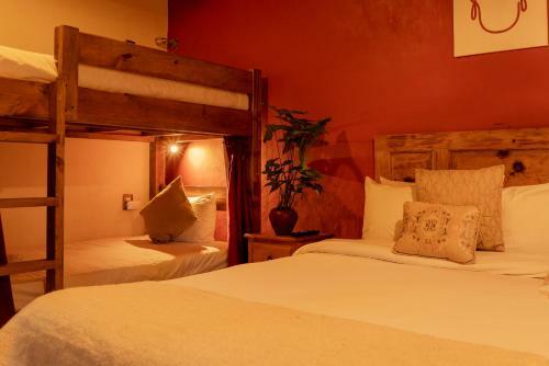 Hostal Hotel Paz Creativa