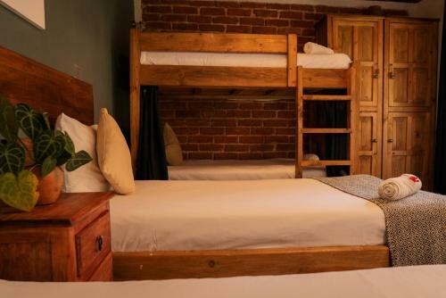 Hostal Hotel Paz Creativa
