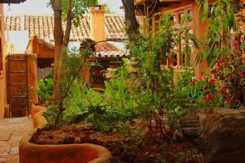 Hostal Hotel Paz Creativa