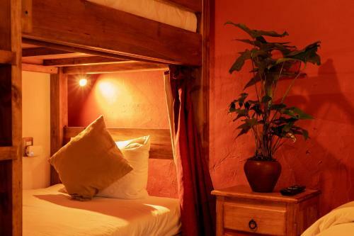 Hostal Hotel Paz Creativa