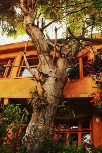Hostal Hotel Paz Creativa
