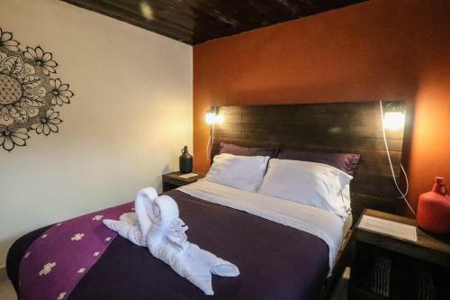Hostal Casa Flor De Vida