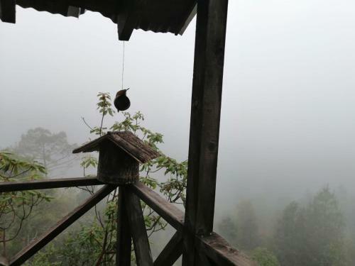 Caba�a Selva Chiapas
