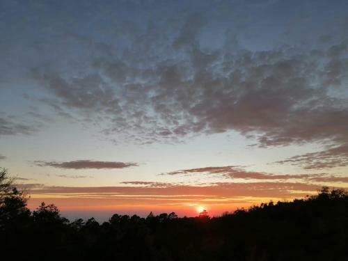 Caba�a Selva Chiapas