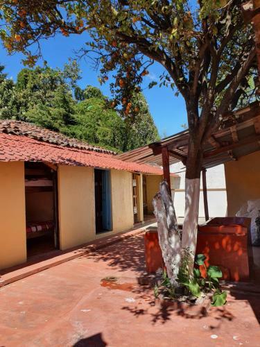 Coraz�n Coleto Hostal