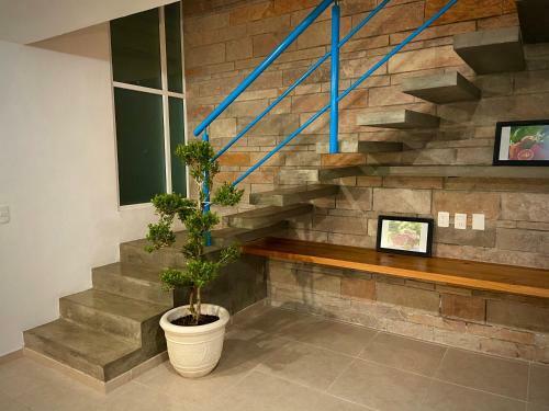 Casaterraza Wifi-parking-10min Walk To Centro Area