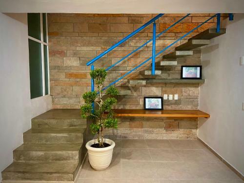 Casaterraza Wifi-parking-10min Walk To Centro Area