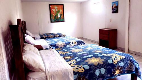 Hotel Panda Viajero