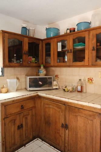Eleva Vegan Hostel
