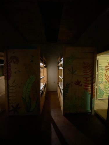 The Coffee Bean Hostel
