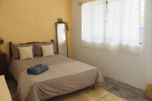 Albergue Casa Sofia Guest House