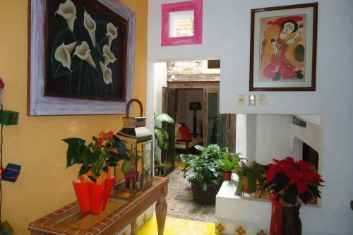 Boutique Casamar, Pv