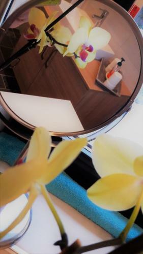 Apartamento Ferienwohnung Michaela