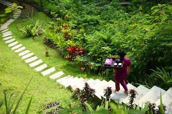 Hotel Ubud Hanging Gardens