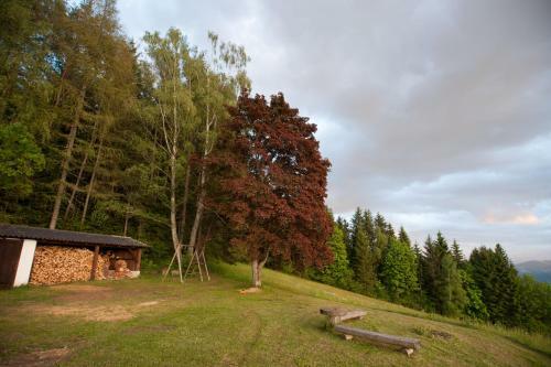 Apartamento Ferienhaus Weissegger