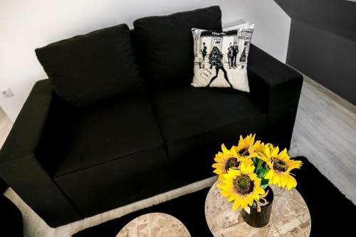 Apartamento Vt Lux -rousse