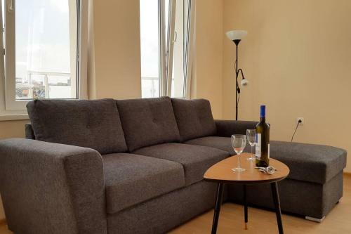 Sky Blue Danube Apartment Ruse