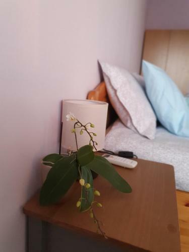 Malavi Square Top Center Apartment! Comfort&clean!