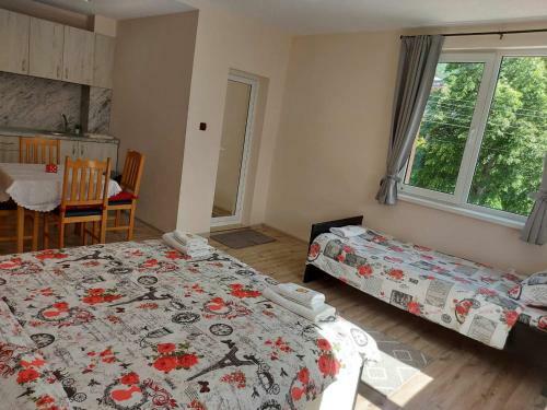 Hostal Bubolina House