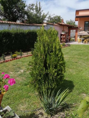 Hostal ???? ?? ????? ??? Guest House Cozy