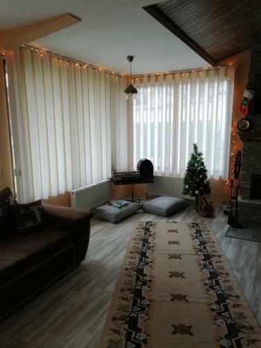 Hostal ???? ?? ????? ??? Guest House Cozy