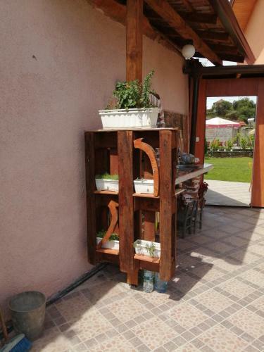 Hostal ???? ?? ????? ??? Guest House Cozy