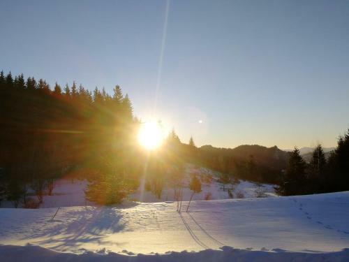 IV Apartment Inthe Wonderful Rhodope Mountain