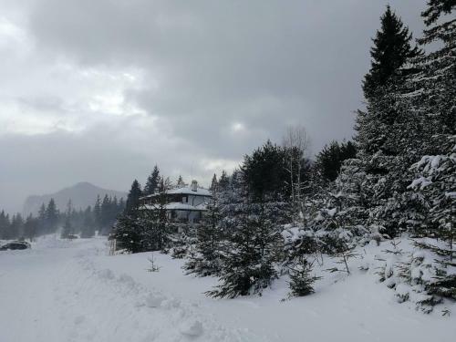 IV Apartment Inthe Wonderful Rhodope Mountain