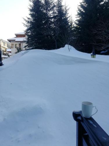 IV Apartment Inthe Wonderful Rhodope Mountain