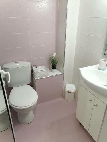 Best Location Apartment
