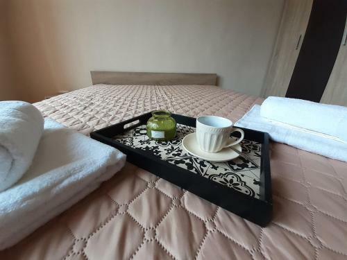 Statevi Guest Apartment