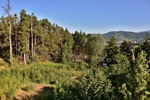 Apartamento Borov Park 2