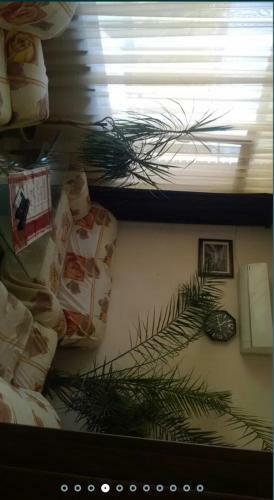 Apartamento Bulgaria