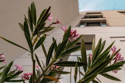 Apartamento Allure Varna Studios