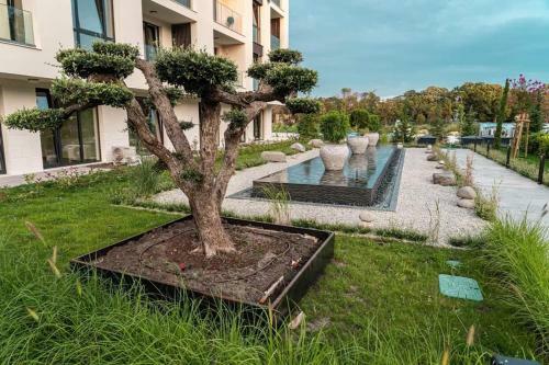 Apartamento Allure Varna Studios