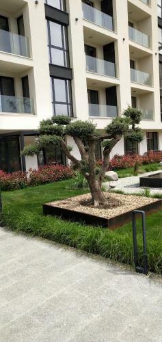 Apartamento Allure Varna Studios