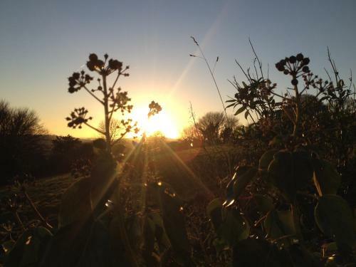 Hostal Beecroft Lodge