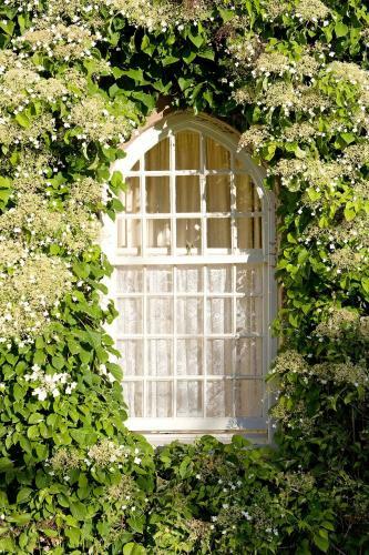 Posada The Boar's Head