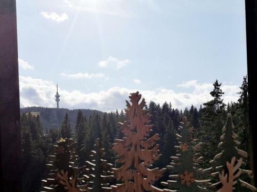 Apartamento A43a Green Life Pamporovo
