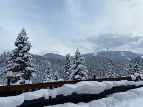 Panoramic Mountain View Apartment In Pine Hills Pamporovo