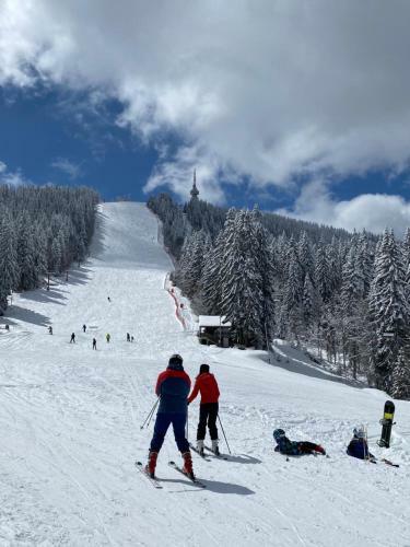 Panoramic Mountain View Apartment In Pine Hills Pamporovo