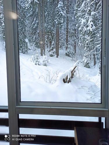 Apartamento Elizi Winter Hause Pamporovo/ ????? ????? ????. ?????????