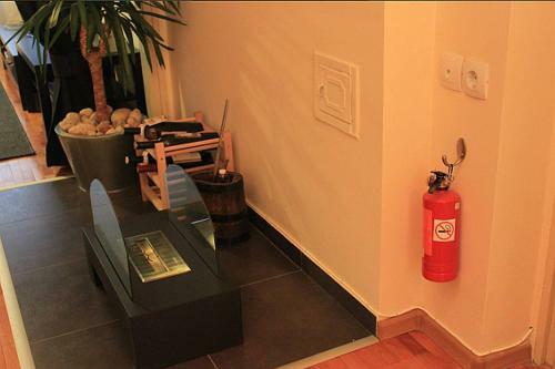 Sunny Central Apartment